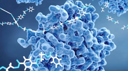 Enzyme